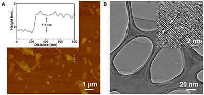 Exonuclease III-Regulated Target Cyclic Amplification-Based Single Nucleotide Polymorphism Detection Using Ultrathin Ternary Chalcogenide Nanosheets